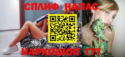 прущие грибы Севастополь